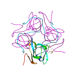 BU of 6p1y by Molmil