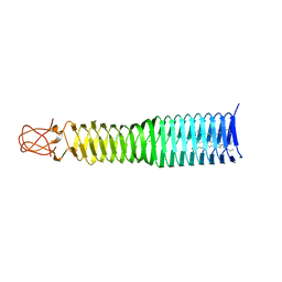 BU of 6p2a by Molmil