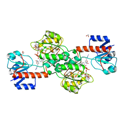 BU of 6p2i by Molmil