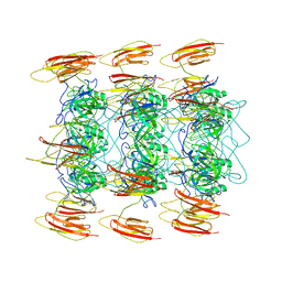 BU of 6p3e by Molmil