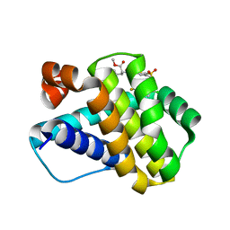 BU of 6p3p by Molmil