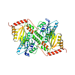 BU of 6p3x by Molmil