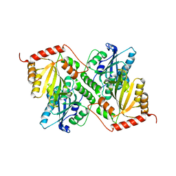 BU of 6p3y by Molmil