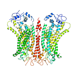 BU of 6p46 by Molmil