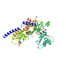 BU of 6p4x by Molmil