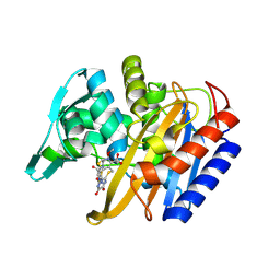 BU of 6p54 by Molmil