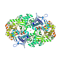 BU of 6p63 by Molmil