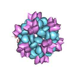 BU of 6p6f by Molmil