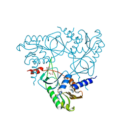 BU of 6p7o by Molmil