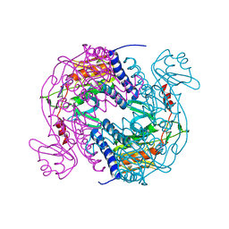 BU of 6p7p by Molmil