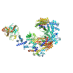 BU of 6p7x by Molmil