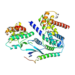 BU of 6p8e by Molmil