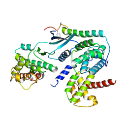 BU of 6p8f by Molmil