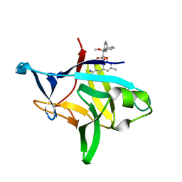 BU of 6p9e by Molmil