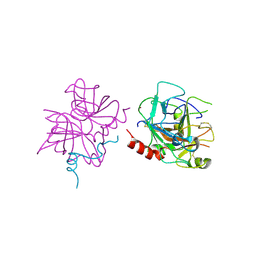 BU of 6p9u by Molmil