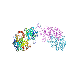 BU of 6pa3 by Molmil