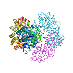 BU of 6pa4 by Molmil