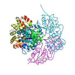 BU of 6pab by Molmil