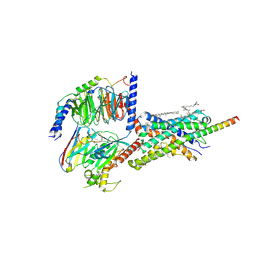 BU of 6pb1 by Molmil