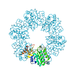 BU of 6pb3 by Molmil