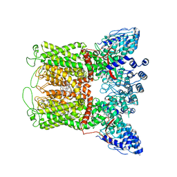 BU of 6pbf by Molmil