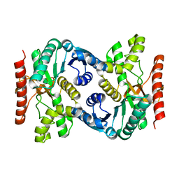 BU of 6pbl by Molmil