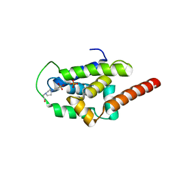 BU of 6pbq by Molmil