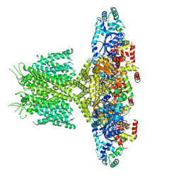 BU of 6pbx by Molmil