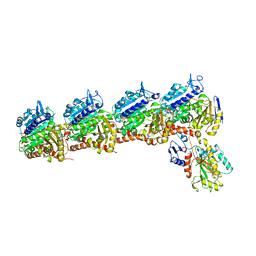 BU of 6pc4 by Molmil