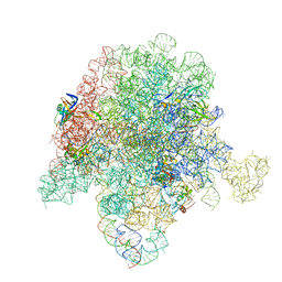 AU of 6pc8 by Molmil