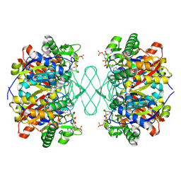 BU of 6pcb by Molmil