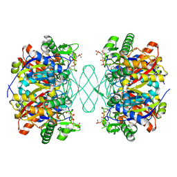 BU of 6pcc by Molmil