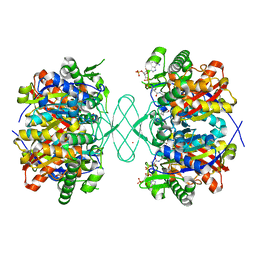 BU of 6pcd by Molmil