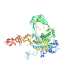 BU of 6pcm by Molmil