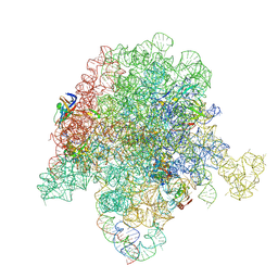 BU of 6pcr by Molmil