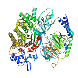 BU of 6pcv by Molmil