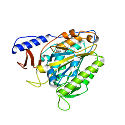 BU of 6pd0 by Molmil