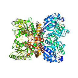 BU of 6pd2 by Molmil