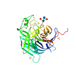 BU of 6pd4 by Molmil