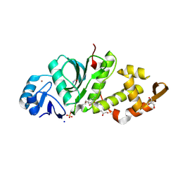 BU of 6pdd by Molmil