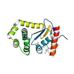 BU of 6pdh by Molmil