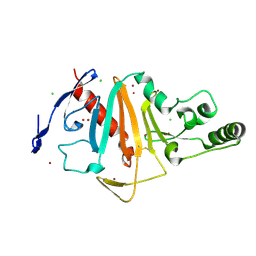 BU of 6pdk by Molmil