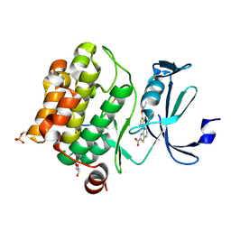 BU of 6pdn by Molmil