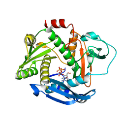 BU of 6pe3 by Molmil