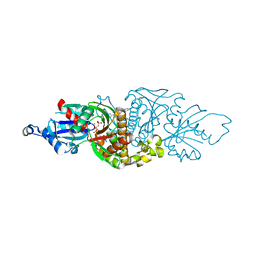 BU of 6pe6 by Molmil