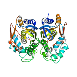 BU of 6pf6 by Molmil