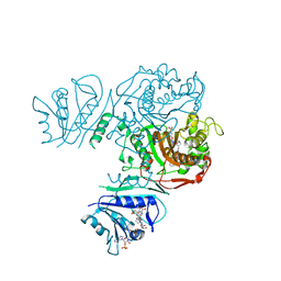 BU of 6pf9 by Molmil