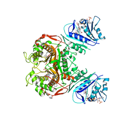 BU of 6pfa by Molmil