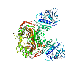 BU of 6pfh by Molmil