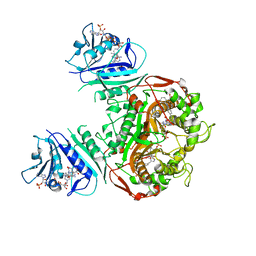 BU of 6pfi by Molmil